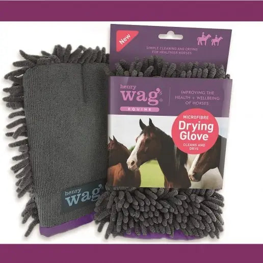 Microfibre Noodle Horse Cleaning Glove