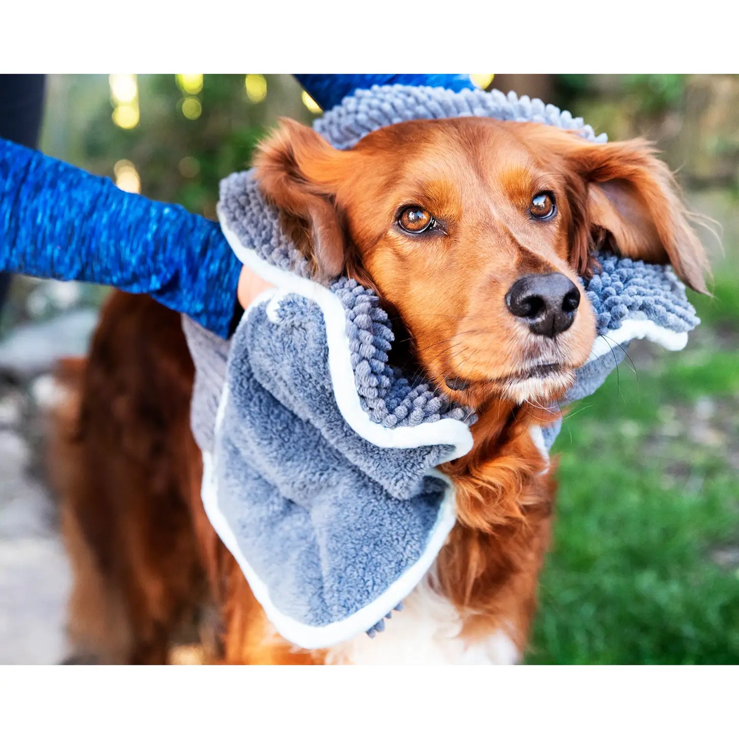 Noodle Glove Dog Drying Towel