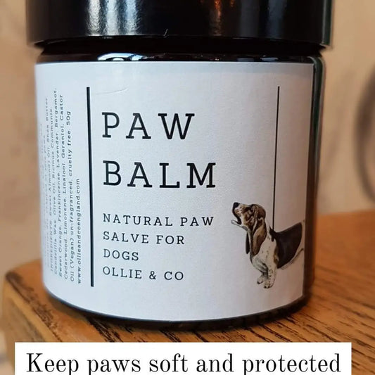 Natural Dog Paw Balm