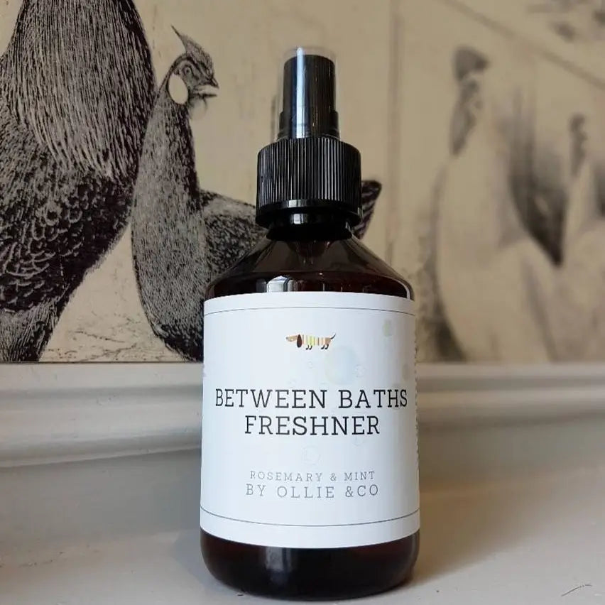 Between Baths' Dog Freshener Spray Rosemary & Mint