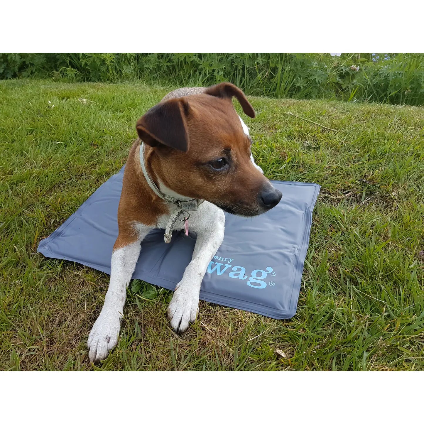 Pet Cool Mat